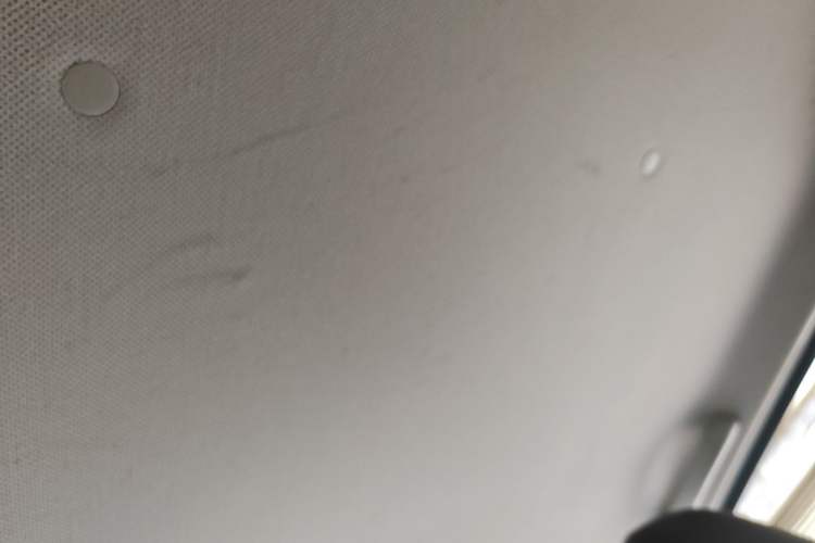 Used Wuling Hongguang MINIEV 2021 Macaron Fashion Model Lithium Iron Phosphate Headliner