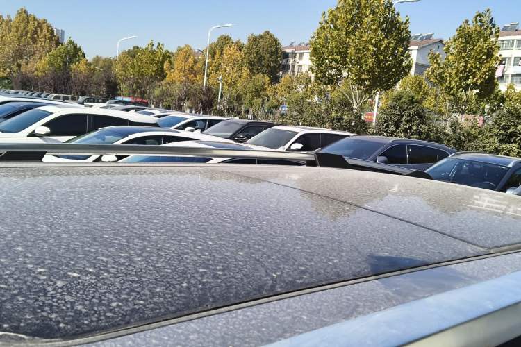 Used Haval H Dog New Energy 2023 DHT-PHEV 105km Tide Electric Version Plus Roof