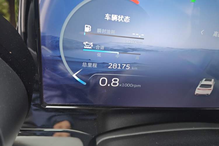 Used Geely Auto Monjaro L 2023 2.0TD High-Power Automatic Two-Wheel Drive Flagship Version Odometer Close Up