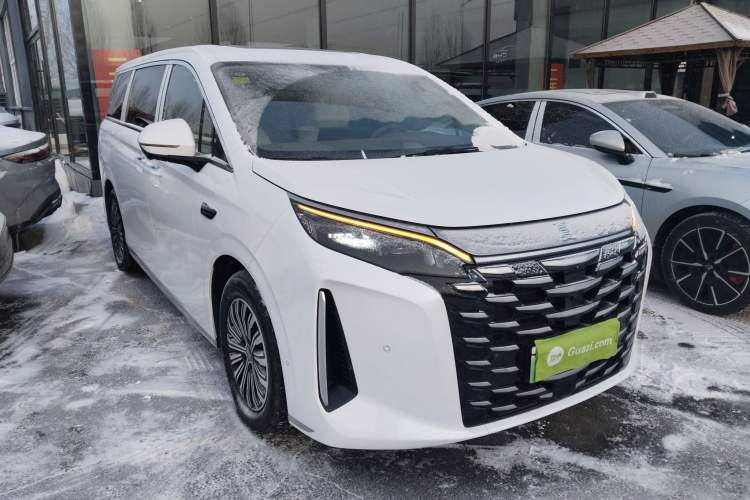 Used BYD Xia 2025 DM-i 1.5T 100km Leading Model Exterior 2