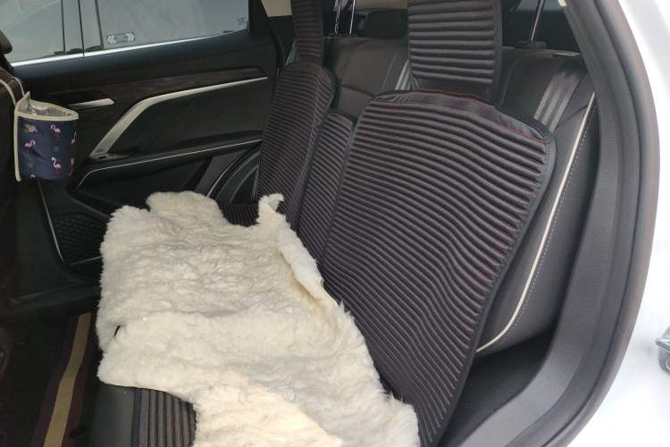 Used Haval H6 2023 National Trend Edition 1.5T Automatic Champion Version