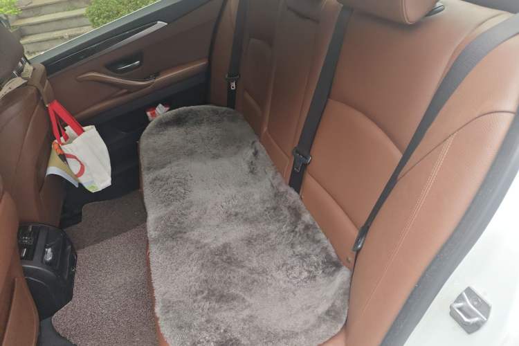 Used BMW 5 Series 2014 525Li Leading Model Left Rear Seat