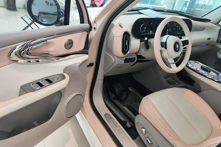 Used ORA Ballet Cat 2022 401 km Nutcracker Edition