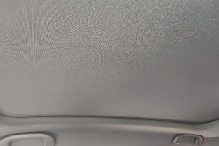 Used BYD Dolphin 2021 405 km Fashion Edition Headliner