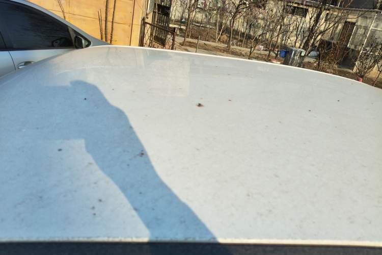 Used Wuling Hongguang MINIEV 2020 Freedom Version Lithium Iron Phosphate