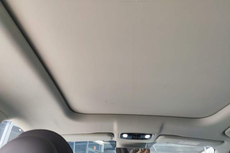 Used Leapmotor C11 2023 Pure Electric 500 Smart Edition Headliner