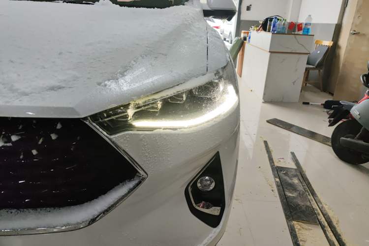 Used Haval F7x 2019 1.5T Two-Wheel Drive Smart & Trendy Edition Left Front Headlight