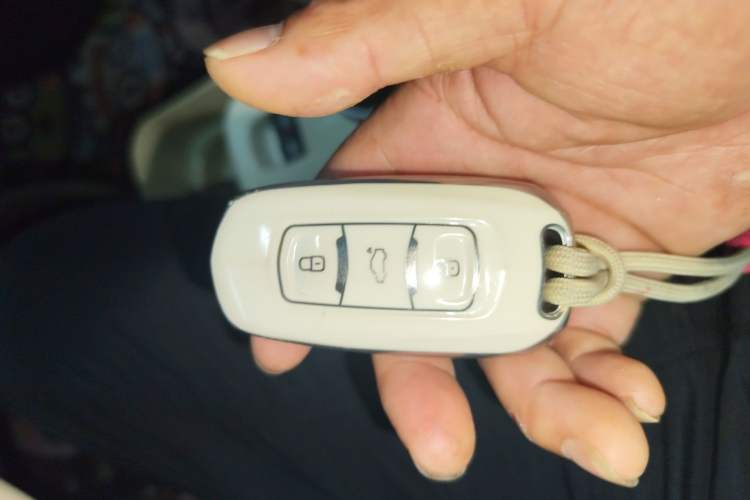 Used Geely Galaxy Panda 2024 200km Panda Kart Vehicle Key