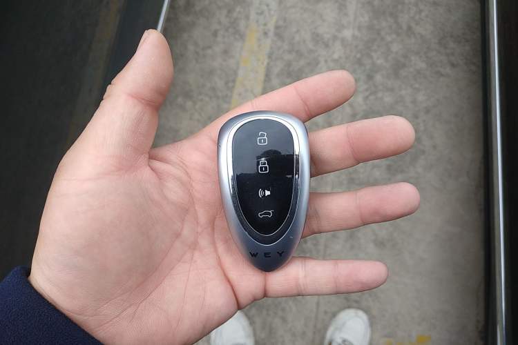 Used Wey Lanshan 2025 Four-Wheel Drive Ultra Vehicle Key