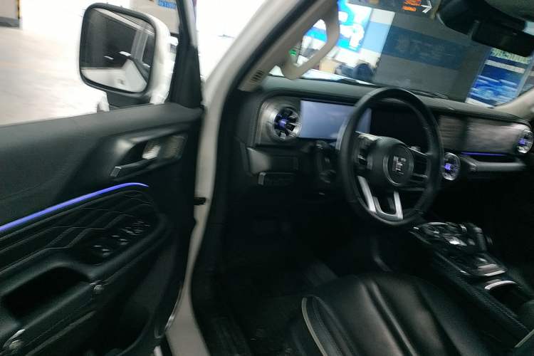 Used Tank 300 2024 2.0T Crosser
