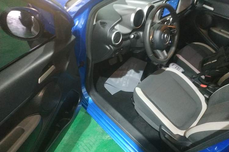 Used ORA Black Cat 2019 351 km Lingzhi Edition Driver Seat