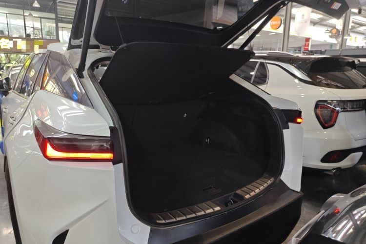 Used Lexus RZ 2023 450e All-Wheel Drive Luxury Edition