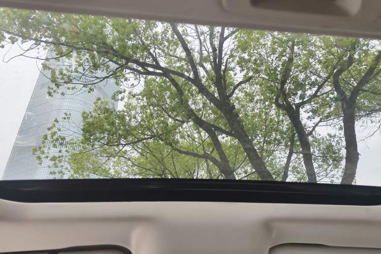 Used Tank 300 2021 Off-Road Edition 2.0T Conqueror
