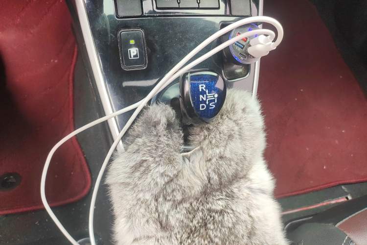 Used Toyota Corolla 2018 Dual-Engine 1.8L E-CVT Smart Edition