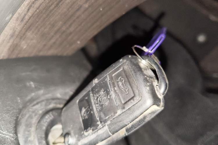 Used FORTHING SX6 2019 1.6L Manual Luxury Model China VI Standard
