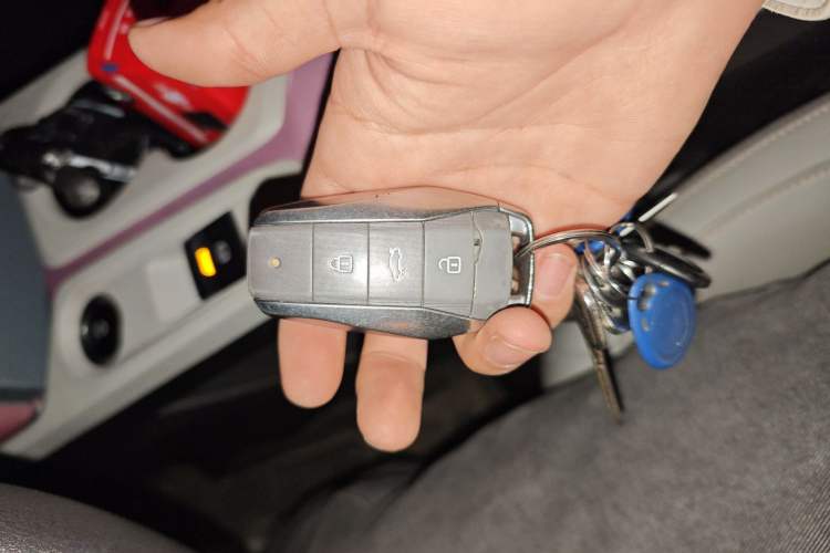 Used SOL E10X 2022 Flower Fairy Design Four-Leaf Clover Vehicle Key