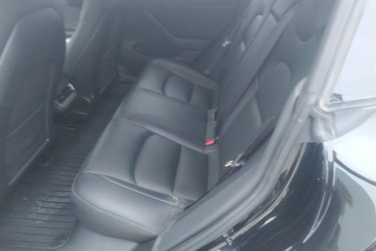 Used Tesla Model 3 2022 Rear-Wheel-Drive Version Left Rear Seat