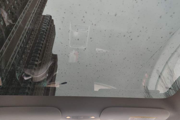 Used Tesla Model Y 2021 Standard Range Rear-Wheel Drive Version Headliner