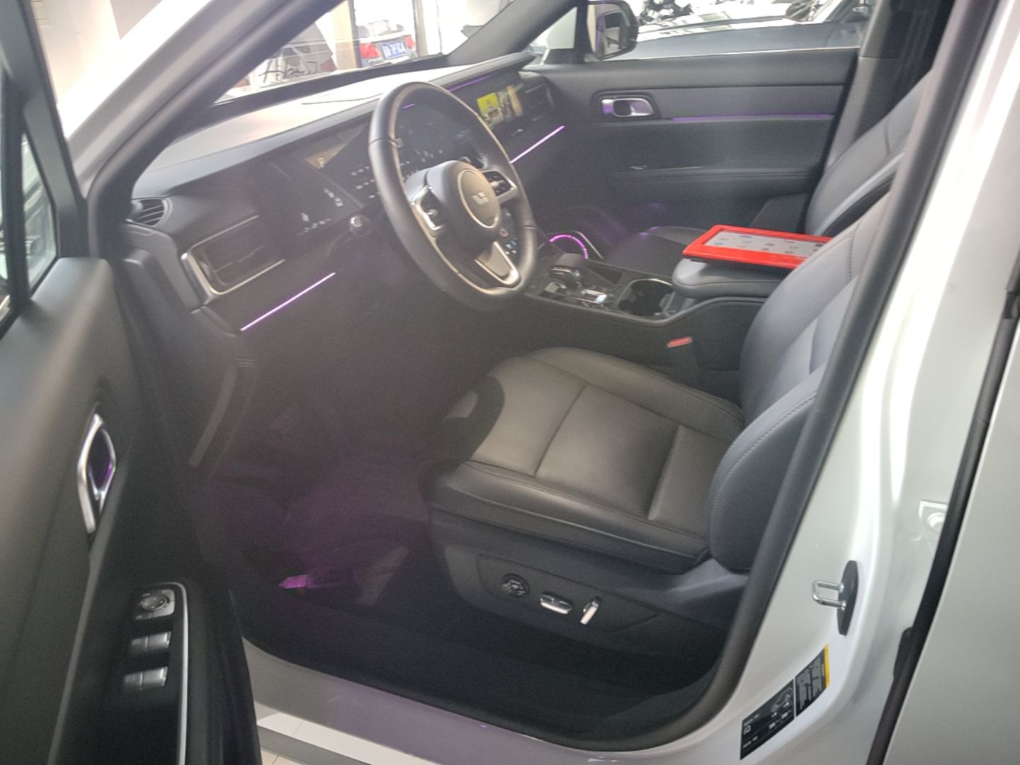 Interior delantero