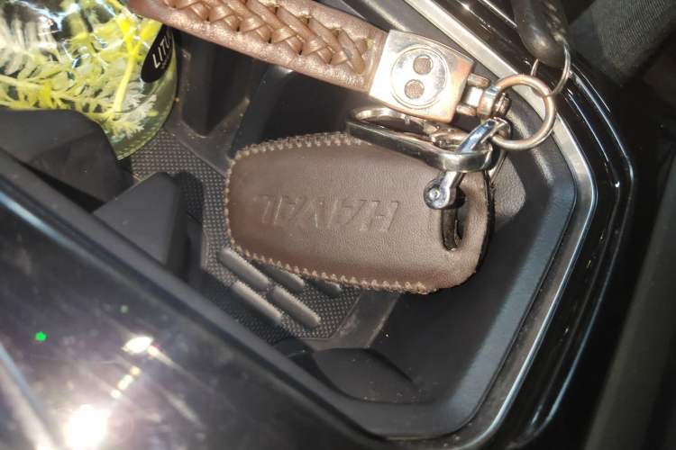 Used Haval DARGO 2021 2.0T DCT 4x4 Chinese Rural Dog Edition
