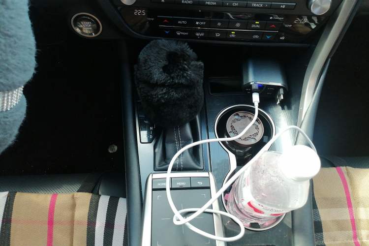 Used Lexus RX 2020 300 4x4 Elegant Edition China VI