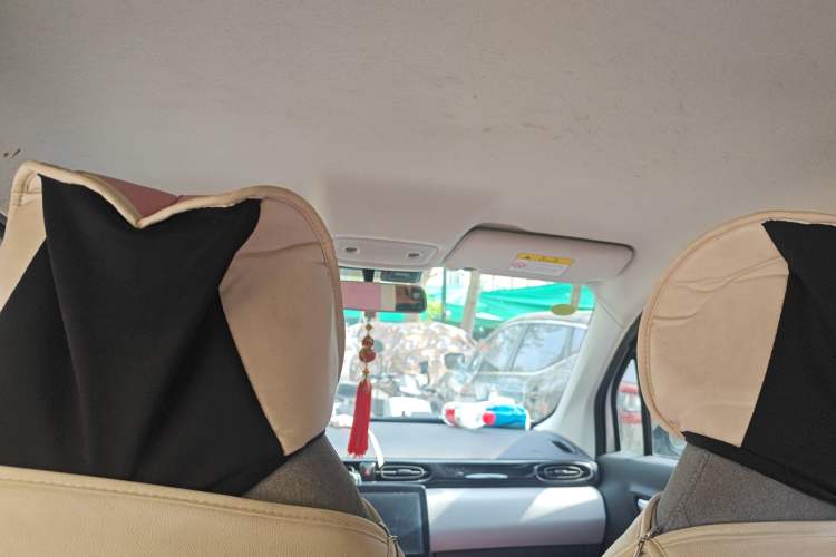 Used Leapmotor T03 2022 Crystal Edition Headliner