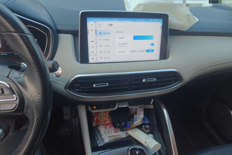 Used MG Pilot 2021 300TGI Automatic Two-Wheel Drive Trophy Prestige Edition