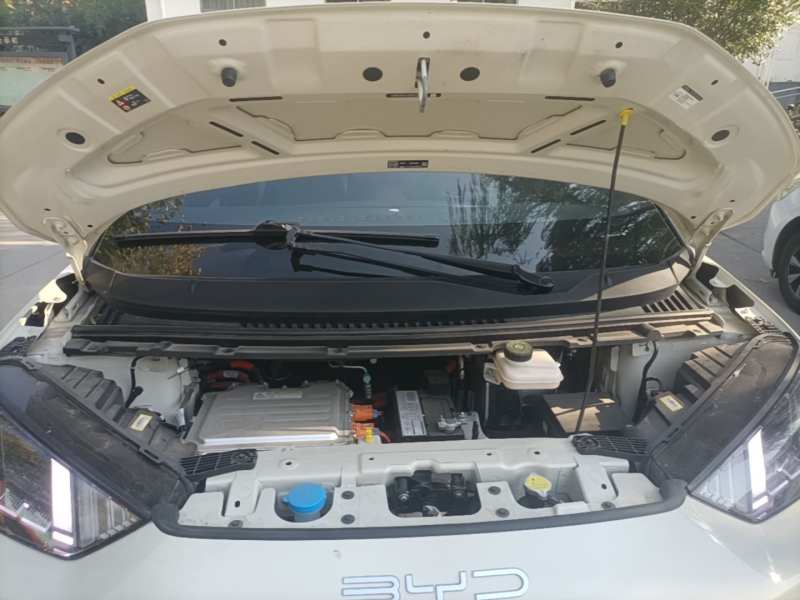 Used BYD Seagull 2023 Free Edition — 19
