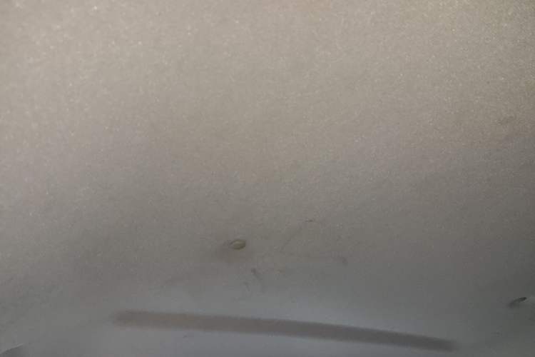 Used Great Wall Poer 2021 2.0T Commercial Version Automatic Diesel 4x4 Elite Long-Box GW4D20M