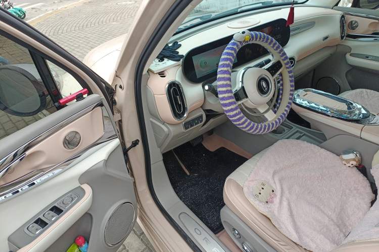 Used ORA Ballet Cat 2022 401 km Nutcracker Edition