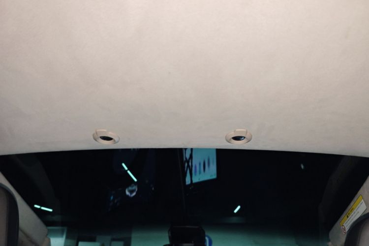 Used XPeng G3 2020 520i Luxury Edition Headliner