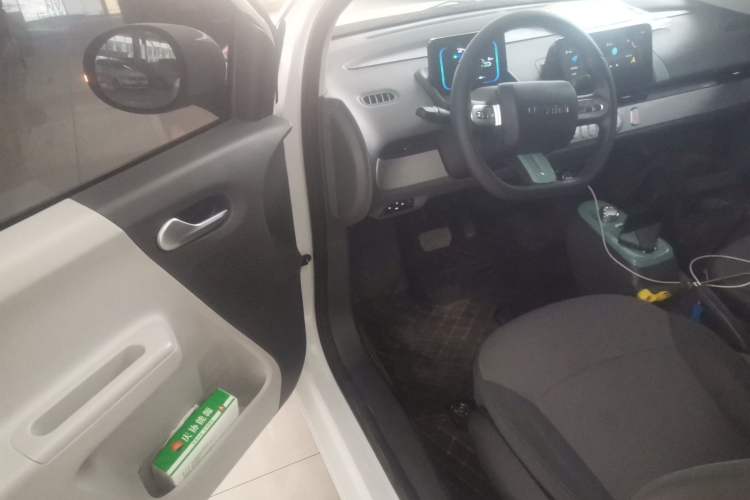 Used Qiyuan Lumin 2023 205km Xiangqin Version