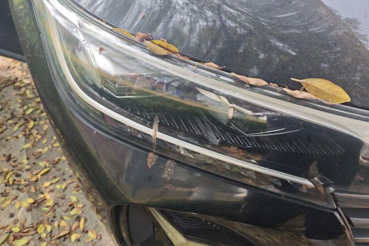 Used GAC Trumpchi GS4 2020 270T Automatic Elite Tech Edition Right Front Headlight