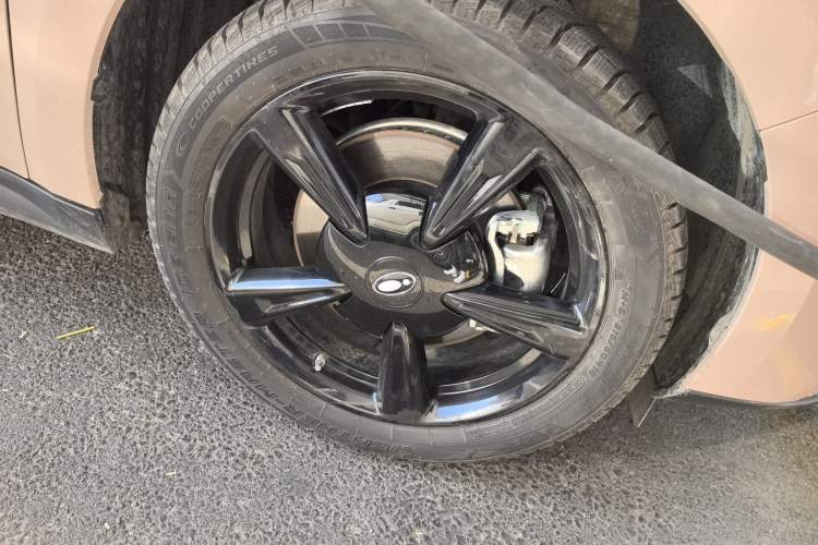 Used ORA Good Cat 2024 401 km Luxury Version