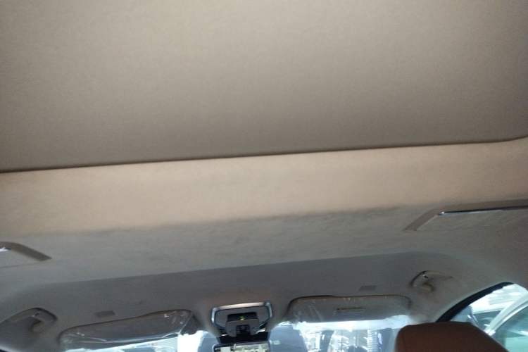 Used Hongqi HQ9 2023 2.0T Smart Connect Flagship Edition