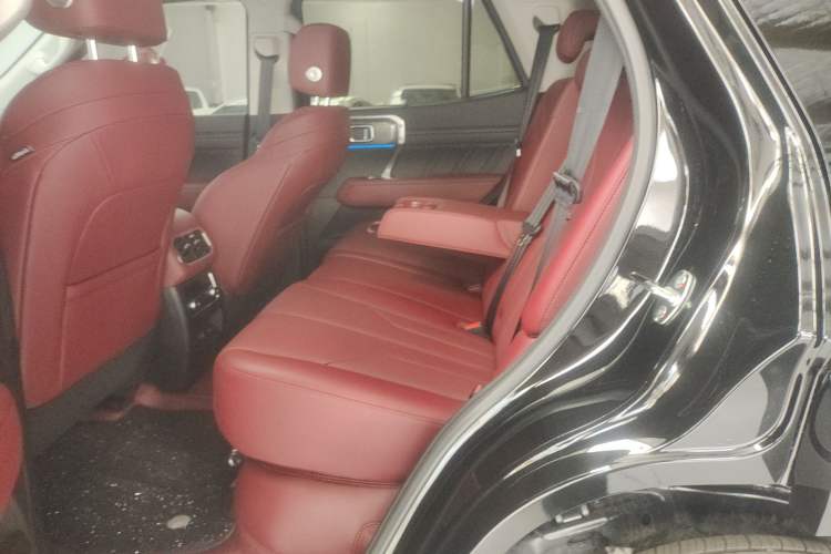 Used Tank 400 New Energy 2026 Model—Hi4-T Smart Enjoyment Version Left Rear Seat