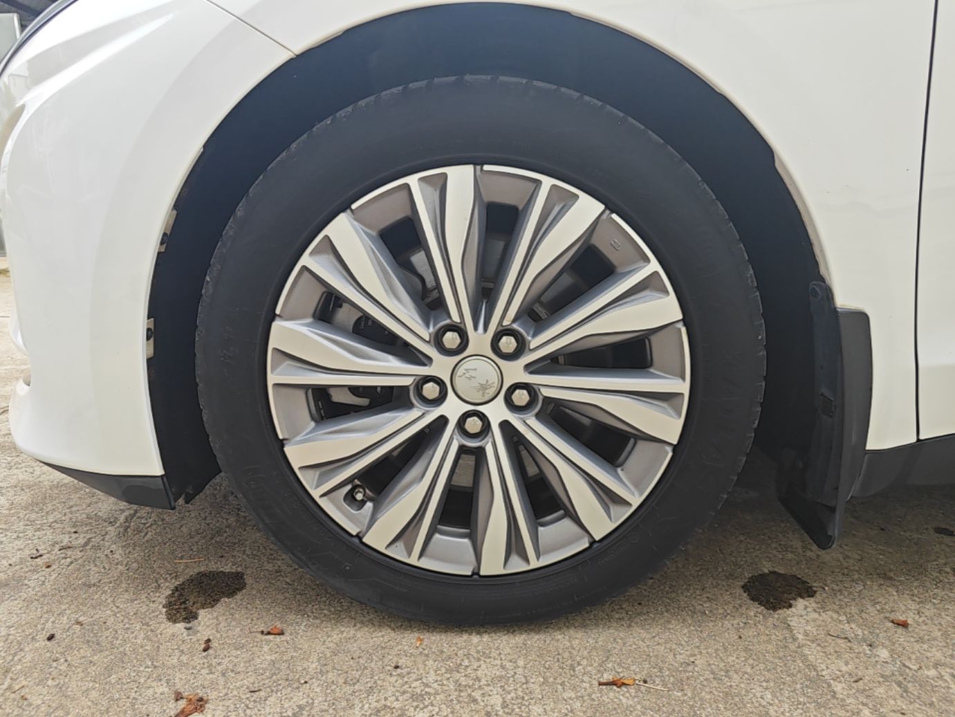 Hongqi E-QM5 2023 620km PLUS — снимка 10