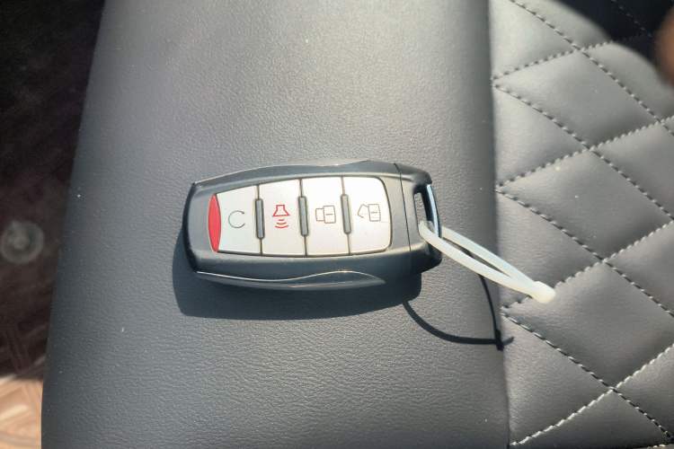 Used Great Wall Poer 2019 2.0T Automatic Gasoline 4x4 Comfort Edition GW4C20B
