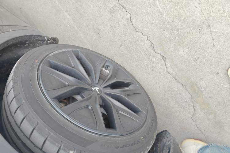 Used Tesla Model Y 2023 Long-Range All-Wheel-Drive Version
