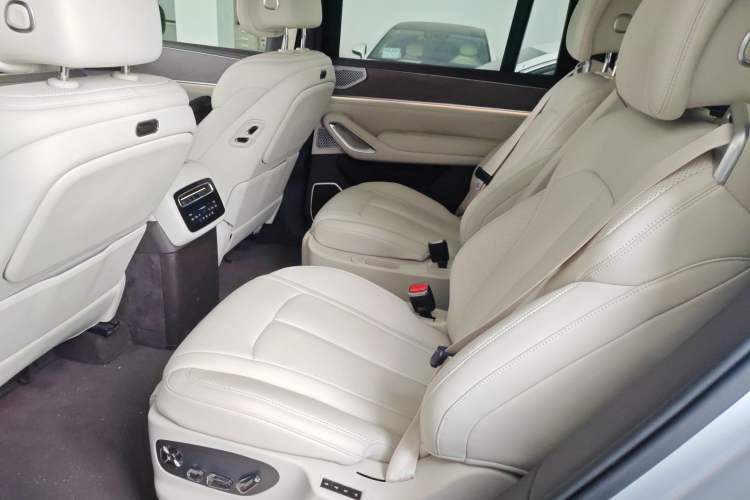 Used Denza N9 2025 Flagship Model Left Rear Seat