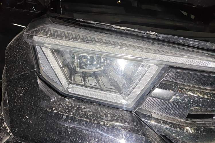 Used Tank 400 2025 2.0T Gasoline Version
