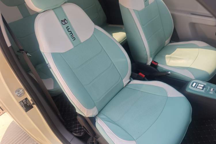 Used CHANGAN NEVO Lumin 2022 210km Sweet Edition Right Front Seat