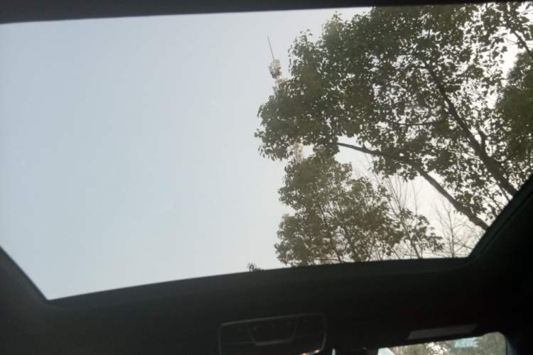 Used Mercedes-Benz S-Class 2020 S 350 L Business Class Ultimate Edition Headliner