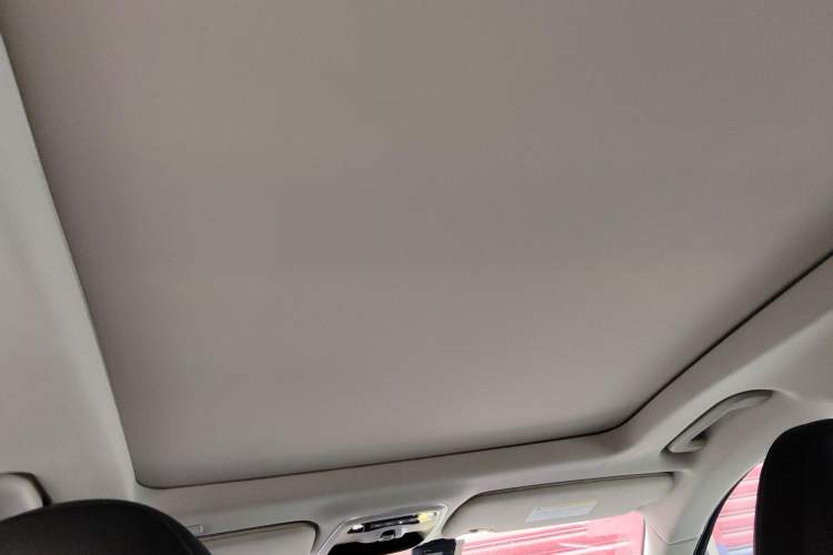 Used Lynk & Co 01 2020 2.0T Two-Wheel Drive Pure Pro Version China VI Standard Headliner