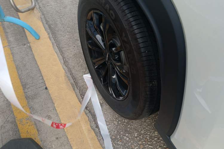 Used Haval Raptor New Energy 2024 Hi4 102 Pro
