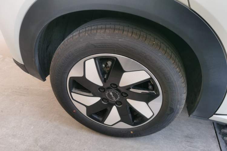 Used BYD Dolphin 2025 420km Free Edition Right Rear Wheel Hub