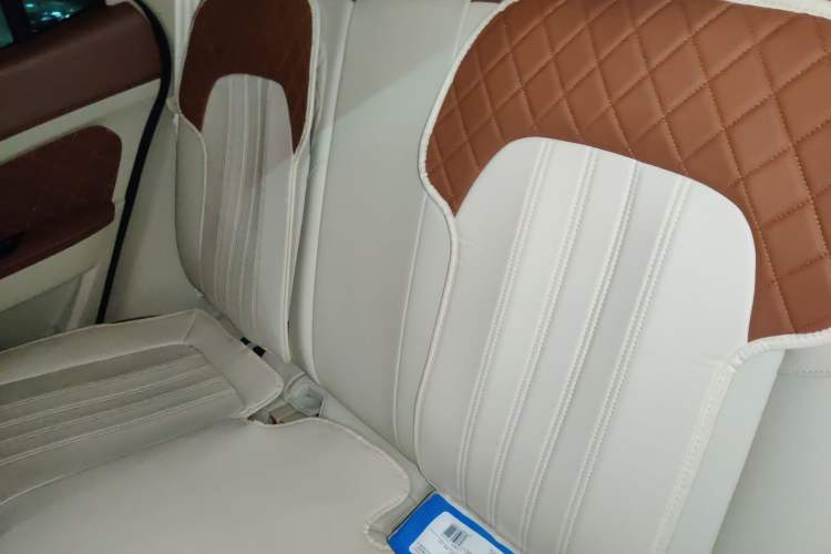 Used ORA Good Cat 2024 401 km Luxury Version Left Rear Seat