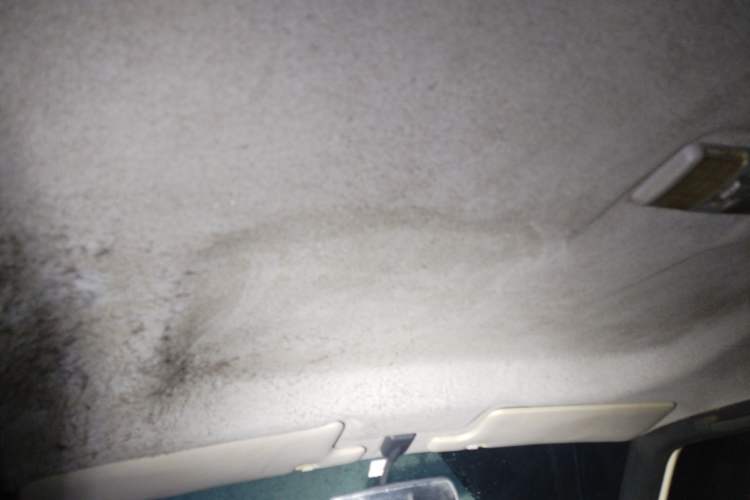 Used Leopaard 6481 2009 2.2L Manual Two-Wheel Drive