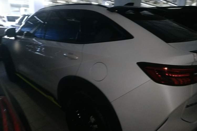 Used Haval H6S 2022 2.0T Two-Wheel Drive ZhiRun Version
