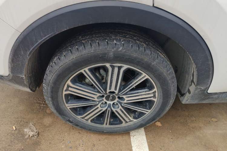 Used Kia Sportage R 2021 Ace 2.0L Challenge Edition Exterior 5